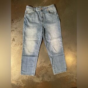 Talbots Denim Blue High Waisted Relaxed Jeans